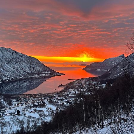 Leilighet I Rorbu Pa Kaldfarnes - Yttersia Senja Bagian luar foto