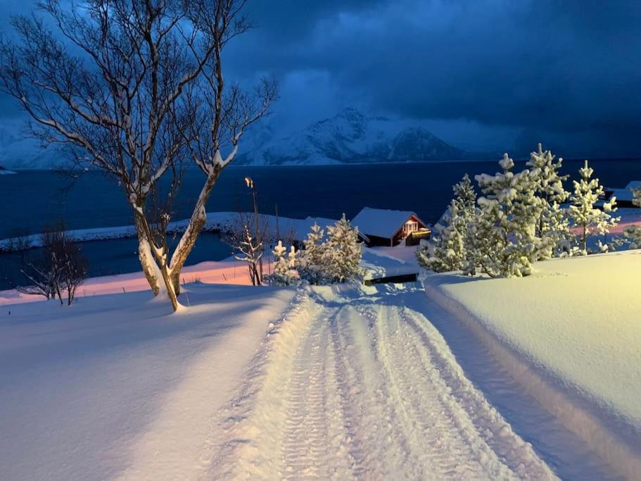 Leilighet I Rorbu Pa Kaldfarnes - Yttersia Senja Bagian luar foto