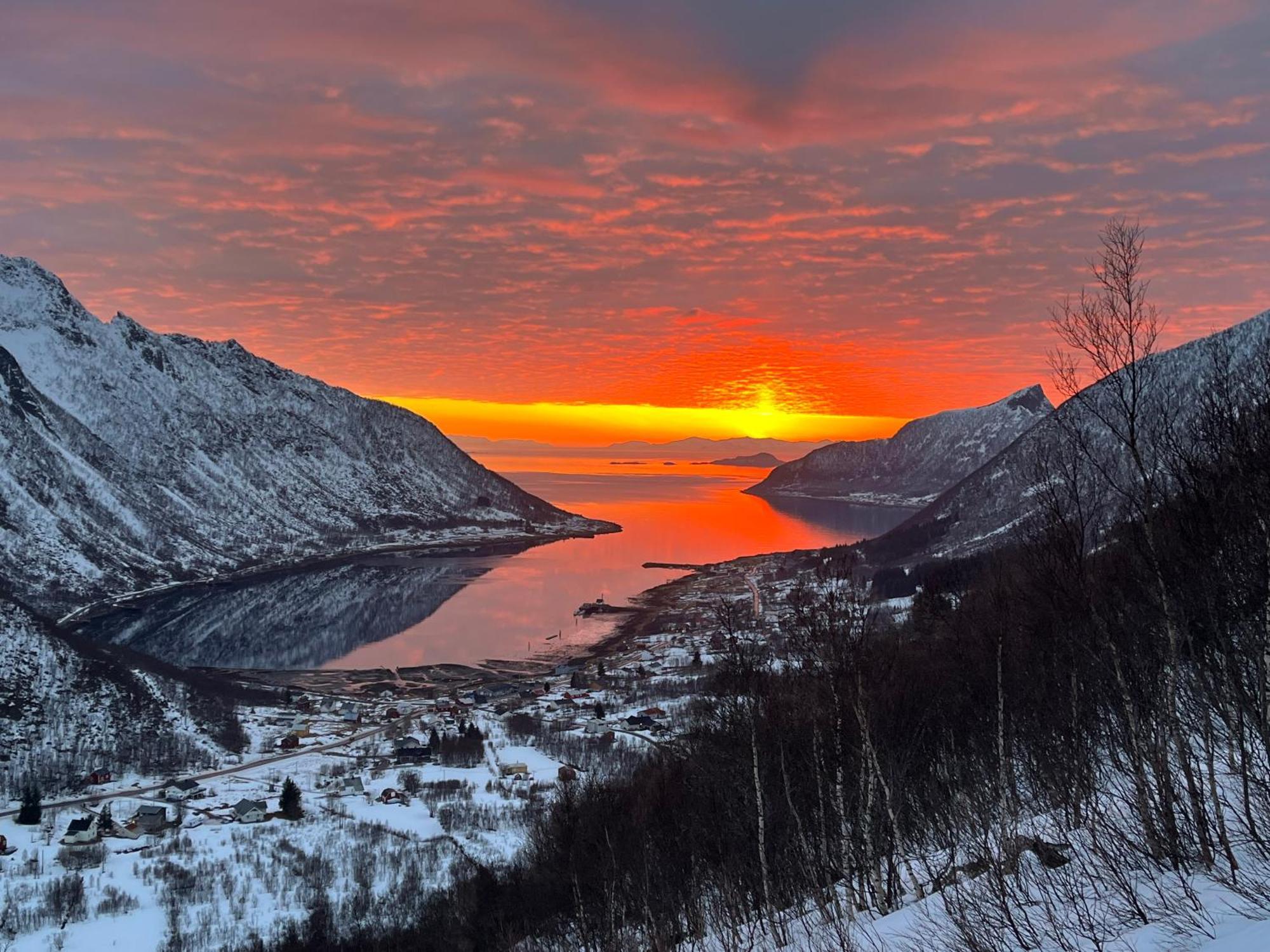 Leilighet I Rorbu Pa Kaldfarnes - Yttersia Senja Bagian luar foto